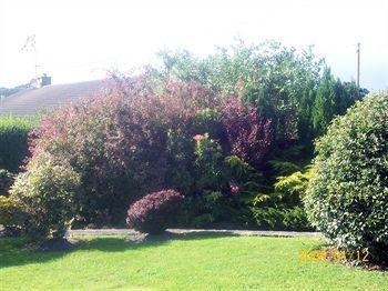 Suncrest Otel Waterford Dış mekan fotoğraf